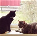 mimmi & mymlan.jpg
