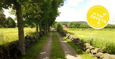 Gunnesgårdens Kattpensionat