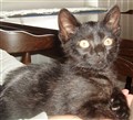 2012-08-23 012.JPG