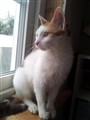 20120902_104639.jpg