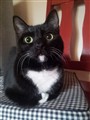 20121006_092812.jpg