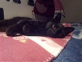 20130305_181317.jpg