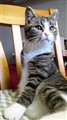 20131125_143058.jpg