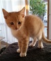 2015-10-27 14.10.21.jpg