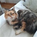 24-02 Clara.jpg