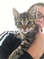 Bert 13-35.jpg