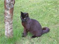 DSCN0150.JPG