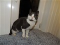 DSCN0380_01.JPG