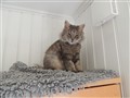 DSCN1331.JPG