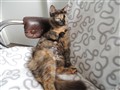 DSCN1345.JPG