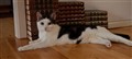 DSC_1133.jpg
