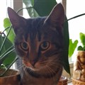 Doris 9.jpg