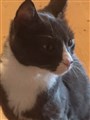 Edith 1.JPG