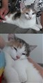 Hilma.jpg