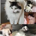Lucy.jpg