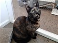 Lucy 5.jpg