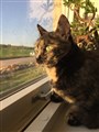 Mimmi 5.jpg