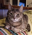 Molly 4.jpg