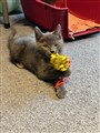Sixten 6.jpg