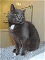 Sören 12-82.jpg