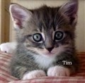 Tim.jpg