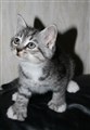 Zeke201124.JPG