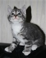 Zero201124.JPG