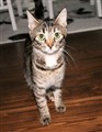 inez151012.jpg