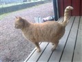 140330.jpeg