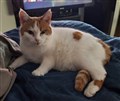 Lily 4.jpg