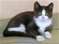 Sivan 12-54.JPG